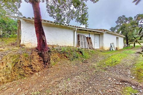 Villa i Monchique, Faro, Monchique - € 540.000 | Ref: 359250024 - foto 24