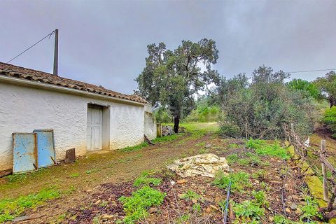 Villa i Monchique, Faro, Monchique - € 540.000 | Ref: 359250024 - foto 26