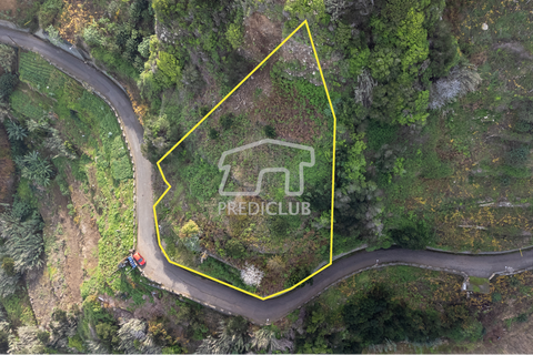 Terra a Santana, Madeira, Santana - € 80.000 | Ref: 10700- NP - foto 2