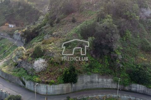 Terra a Santana, Madeira, Santana - € 80.000 | Ref: 10700- NP - foto 5