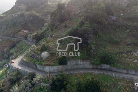 Terra a Santana, Madeira, Santana - € 80.000 | Ref: 10700- NP - foto 6