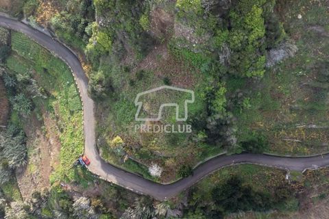 Terra a Santana, Madeira, Santana - € 80.000 | Ref: 10700- NP - foto 7