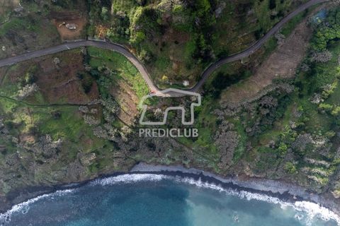 Terra a Santana, Madeira, Santana - € 80.000 | Ref: 10700- NP - foto 8