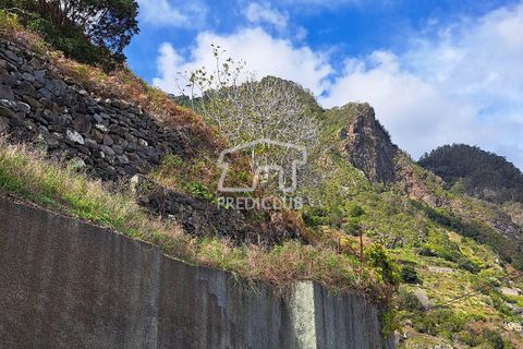 Terra a Santana, Madeira, Santana - € 80.000 | Ref: 10700- NP - foto 11