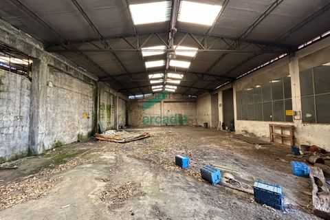 Erhvervsejendom i Bari, Bari, Bari - € 450.000 | Ref: 11872/2024 - foto 3