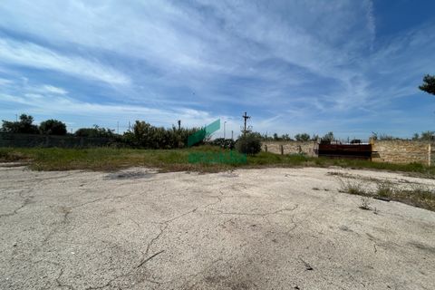 Erhvervsejendom i Bari, Bari, Bari - € 450.000 | Ref: 11872/2024 - foto 4