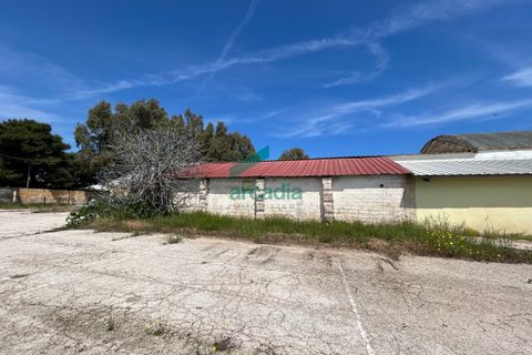 Erhvervsejendom i Bari, Bari, Bari - € 450.000 | Ref: 11872/2024 - foto 5