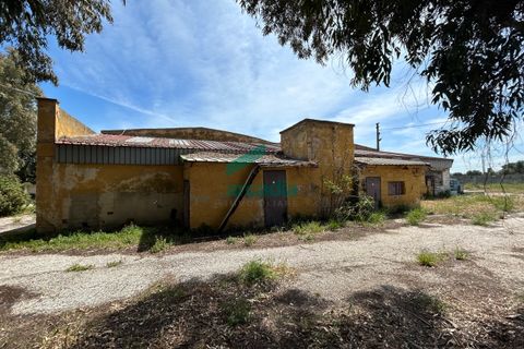 Erhvervsejendom i Bari, Bari, Bari - € 450.000 | Ref: 11872/2024 - foto 7