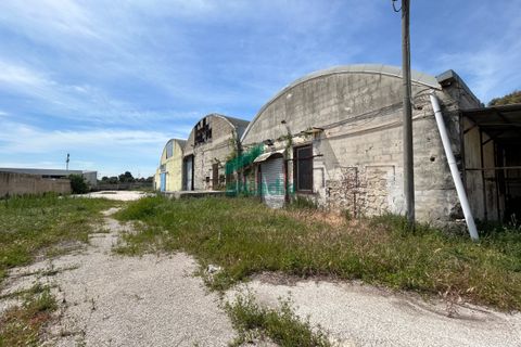 Erhvervsejendom i Bari, Bari, Bari - € 450.000 | Ref: 11872/2024 - foto 9
