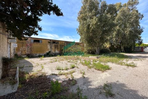 Erhvervsejendom i Bari, Bari, Bari - € 450.000 | Ref: 11872/2024 - foto 10