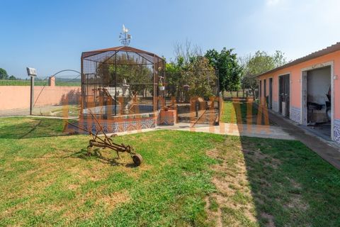 Villa i Vila do Conde, Porto, Vila do Conde - € 890.000 | Ref: 5506 - foto 23