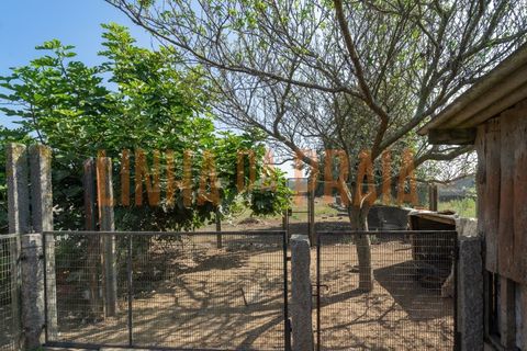 Villa i Vila do Conde, Porto, Vila do Conde - € 890.000 | Ref: 5506 - foto 24
