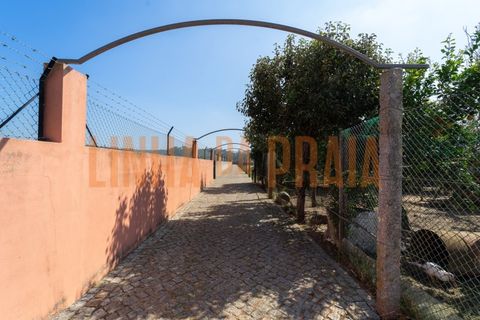 Villa i Vila do Conde, Porto, Vila do Conde - € 890.000 | Ref: 5506 - foto 26