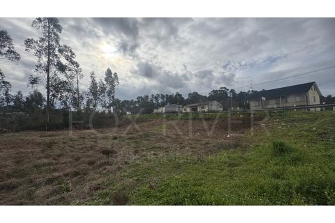 Helårsgrund i Valenca, Viana do Castelo, Valenca - € 47.000 | Ref: F1-03-102 - foto 5