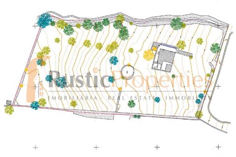 Helårsgrund i Estoi, Faro, Estoi - € 295.000 | Ref: RPO2071P - foto 8