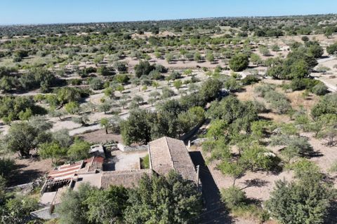 Villa i Modica, Ragusa, Modica - € 270.000 | Ref: L 1980 - foto 11