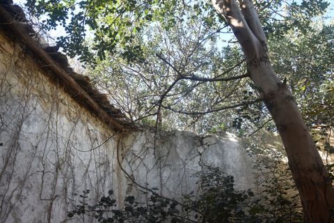 Villa i Noto, Siracusa, Noto - € 445.000 | Ref: SC 28 - foto 37