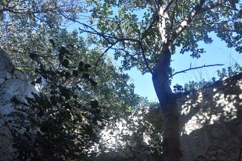 Villa i Noto, Siracusa, Noto - € 445.000 | Ref: SC 28 - foto 38