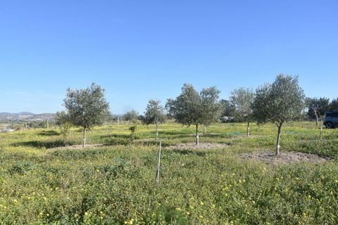 Villa i Noto, Siracusa, Noto - € 445.000 | Ref: SC 28 - foto 45