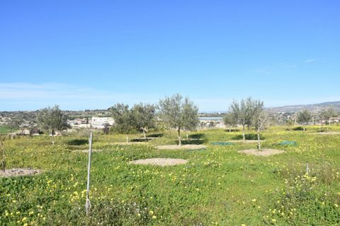 Villa i Noto, Siracusa, Noto - € 445.000 | Ref: SC 28 - foto 48