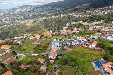 Villa i Arco da Calheta, Madeira, Arco da Calheta - € 1.600.000 | Ref: 028_0023 - foto 8