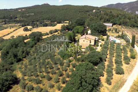 Farm hus i Pomarance, Pisa, Pomarance - € 1.250.000 | Ref: 1001-82SC - foto 7