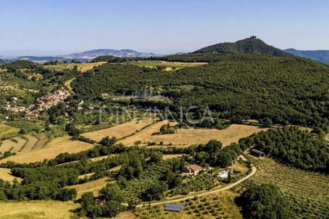 Farm hus i Pomarance, Pisa, Pomarance - € 1.250.000 | Ref: 1001-82SC - foto 15