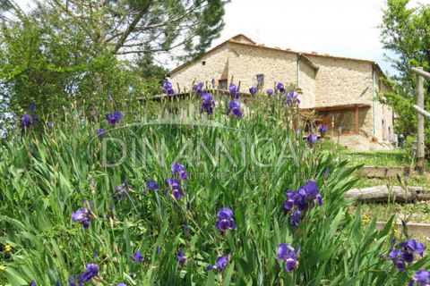 Farm hus i Pomarance, Pisa, Pomarance - € 1.250.000 | Ref: 1001-82SC - foto 43