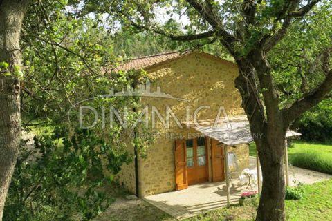 Farm hus i Pomarance, Pisa, Pomarance - € 1.250.000 | Ref: 1001-82SC - foto 45