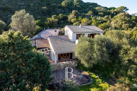 Landejendom i Porto-Vecchio, Corse-du-Sud, Porto-Vecchio - € 1.150.000 | Ref: RV1757 - foto 2