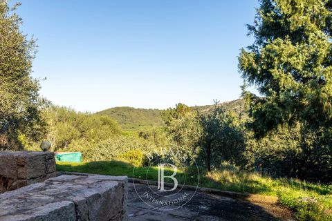 Landejendom i Porto-Vecchio, Corse-du-Sud, Porto-Vecchio - € 1.150.000 | Ref: RV1757 - foto 5
