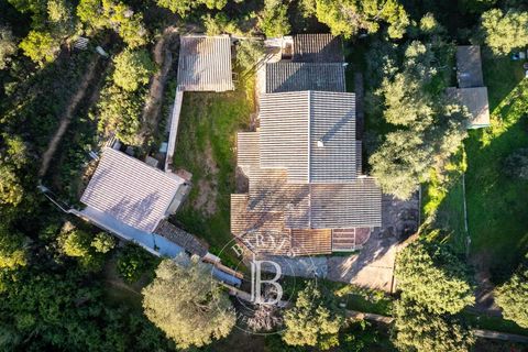 Landejendom i Porto-Vecchio, Corse-du-Sud, Porto-Vecchio - € 1.150.000 | Ref: RV1757 - foto 6