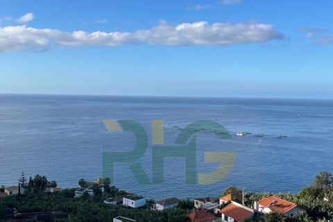 Helårsgrund i Arco da Calheta, Madeira, Arco da Calheta - € 425.000 | Ref: RHG25011 - foto 2