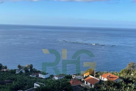Helårsgrund i Arco da Calheta, Madeira, Arco da Calheta - € 425.000 | Ref: RHG25011 - foto 3