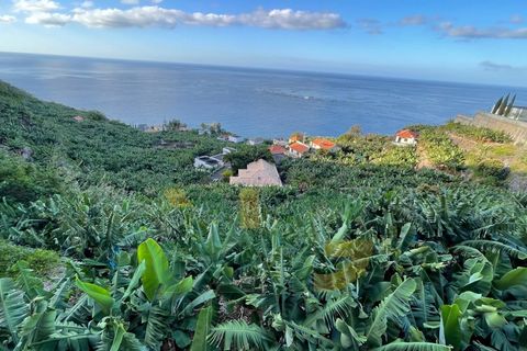 Helårsgrund i Arco da Calheta, Madeira, Arco da Calheta - € 425.000 | Ref: RHG25011 - foto 4