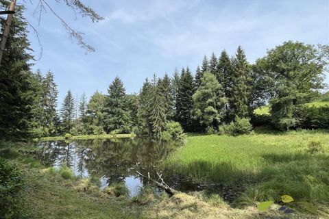 Helårsgrund i Moissannes, Haute-Vienne, Moissannes - € 45.000 | Ref: 3955_S - foto 2