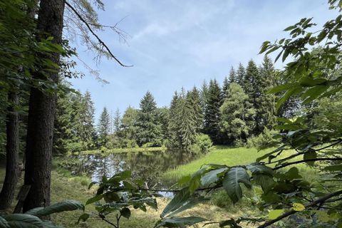 Helårsgrund i Moissannes, Haute-Vienne, Moissannes - € 45.000 | Ref: 3955_S - foto 3