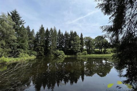 Helårsgrund i Moissannes, Haute-Vienne, Moissannes - € 45.000 | Ref: 3955_S - foto 5