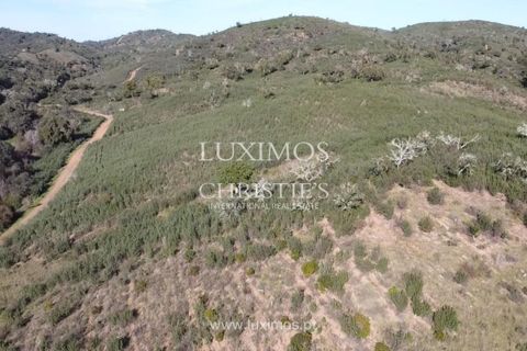 Helårsgrund i Silves, Faro, Silves - € 850.000 | Ref: 2LS00170 - foto 4