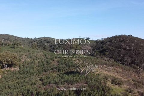 Helårsgrund i Silves, Faro, Silves - € 850.000 | Ref: 2LS00170 - foto 6