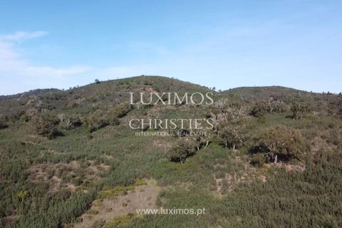 Helårsgrund i Silves, Faro, Silves - € 850.000 | Ref: 2LS00170 - foto 7
