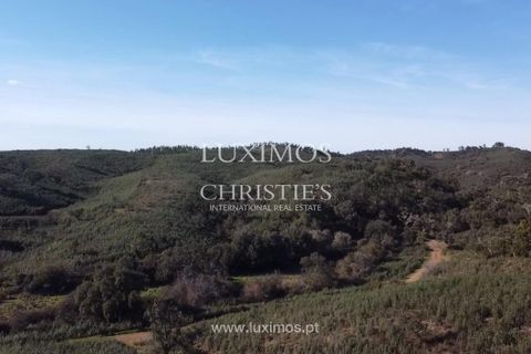 Helårsgrund i Silves, Faro, Silves - € 850.000 | Ref: 2LS00170 - foto 8