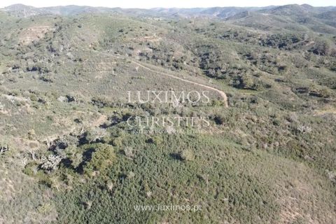 Helårsgrund i Silves, Faro, Silves - € 850.000 | Ref: 2LS00170 - foto 9