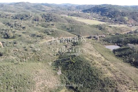 Helårsgrund i Silves, Faro, Silves - € 850.000 | Ref: 2LS00170 - foto 11