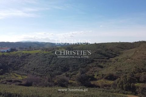 Helårsgrund i Silves, Faro, Silves - € 850.000 | Ref: 2LS00170 - foto 14