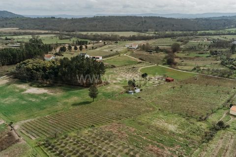 Helårsgrund i Covilha, Castelo Branco, Covilha - € 103.500 | Ref: 111250007 - foto 2
