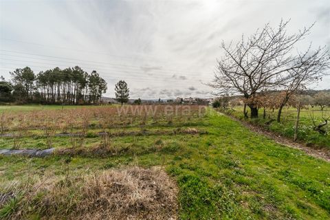 Helårsgrund i Covilha, Castelo Branco, Covilha - € 103.500 | Ref: 111250007 - foto 3