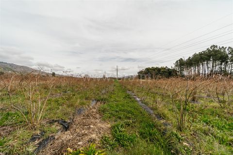 Helårsgrund i Covilha, Castelo Branco, Covilha - € 103.500 | Ref: 111250007 - foto 4