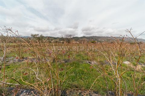 Helårsgrund i Covilha, Castelo Branco, Covilha - € 103.500 | Ref: 111250007 - foto 5