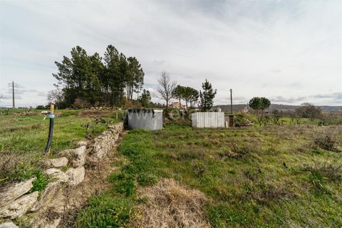 Helårsgrund i Covilha, Castelo Branco, Covilha - € 103.500 | Ref: 111250007 - foto 6